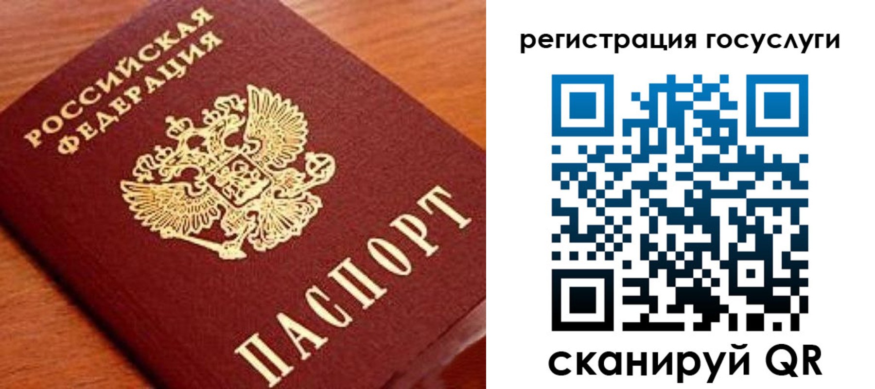 прописка иностранных граждан в Палласовке